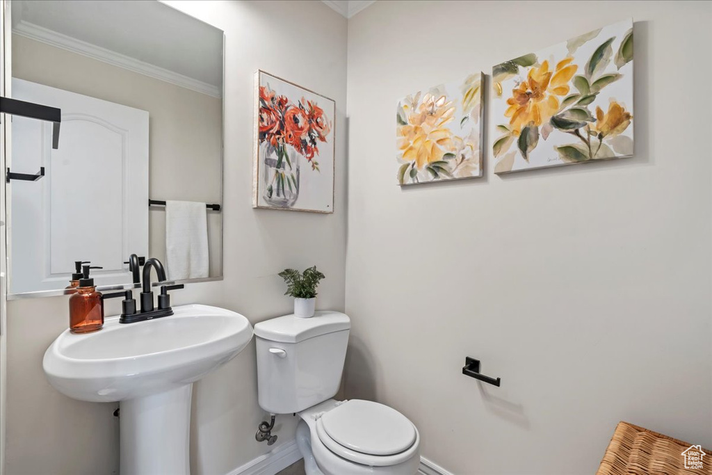 Bathroom with crown molding and toilet