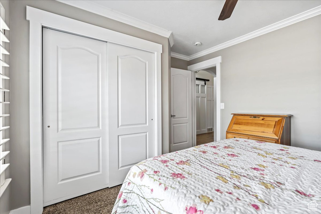Bedroom featuring dark colored carpet, ornamental molding, a closet, and ceiling fan