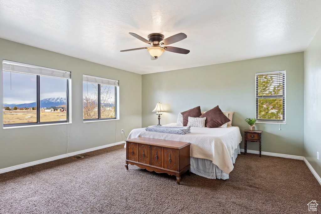 Carpeted bedroom featuring multiple windows, ceiling fan, and a mountain view