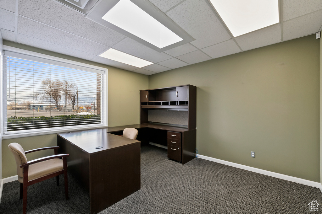 Carpeted office space featuring a drop ceiling
