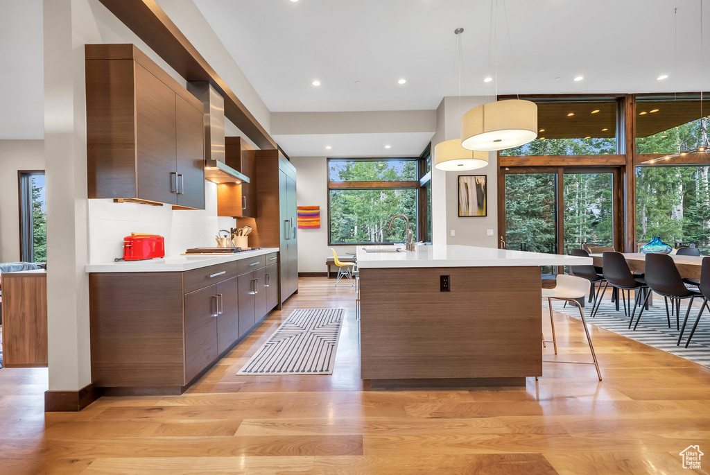 Kitchen featuring light hardwood / wood-style floors, plenty of natural light, and pendant lighting