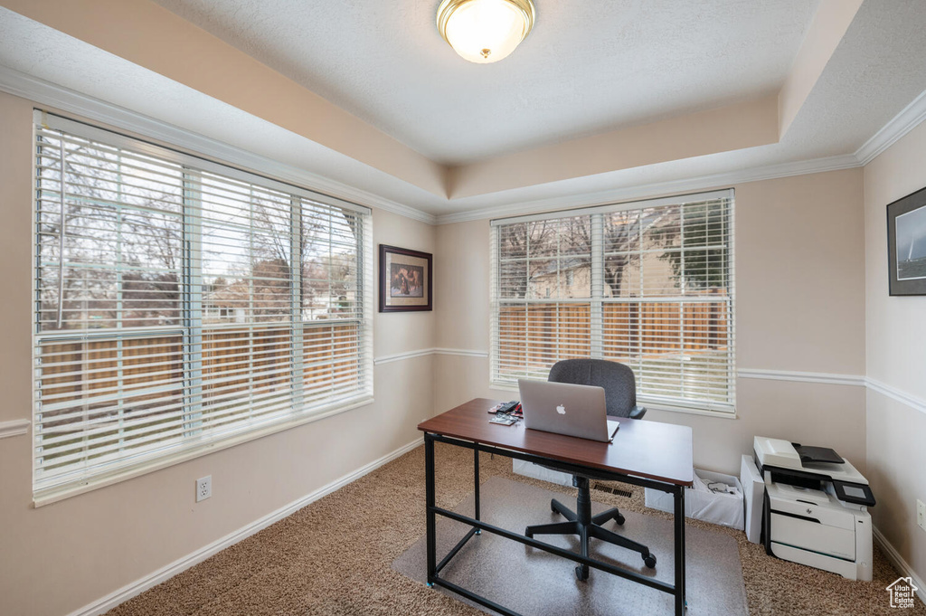Office space featuring a raised ceiling, light colored carpet, and crown molding