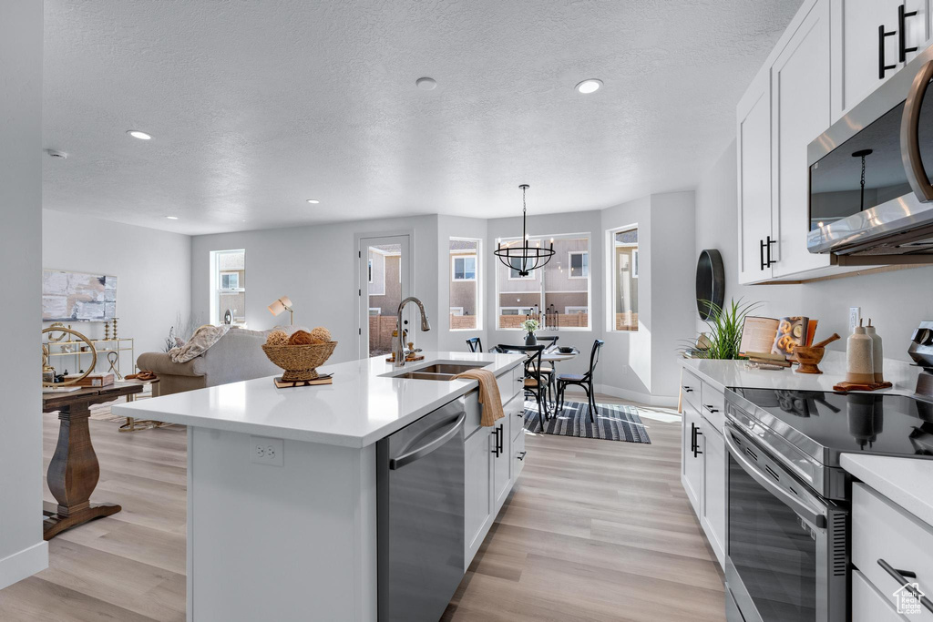 Kitchen featuring a healthy amount of sunlight, appliances with stainless steel finishes, an island with sink, and light wood-type flooring