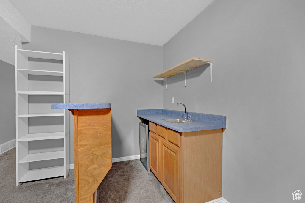 Spacious closet featuring sink and light colored carpet