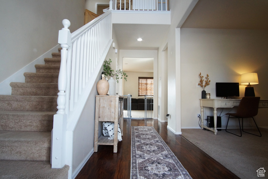 Entryway with dark hardwood / wood-style flooring and a high ceiling