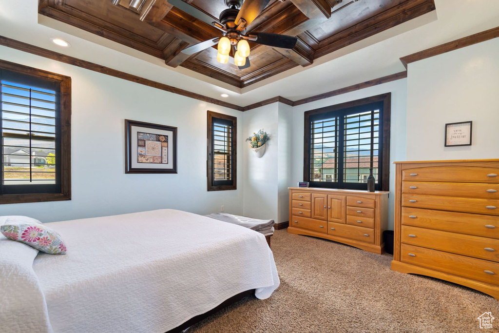 Carpeted bedroom featuring ornamental molding, multiple windows, coffered ceiling, and ceiling fan
