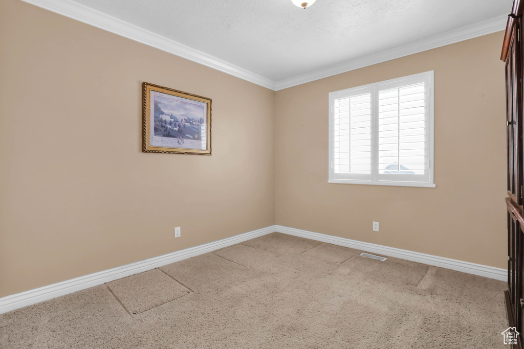 Empty room featuring light colored carpet and crown molding