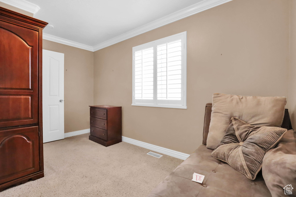 Sitting room with crown molding