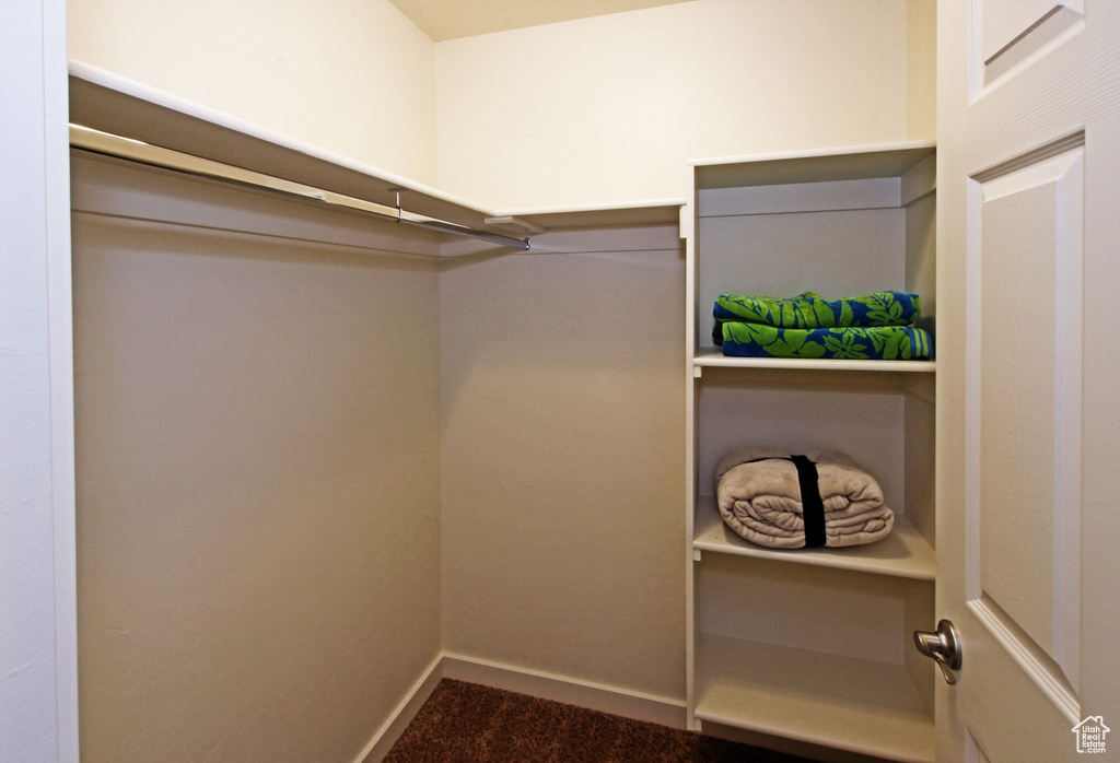 Spacious closet featuring carpet