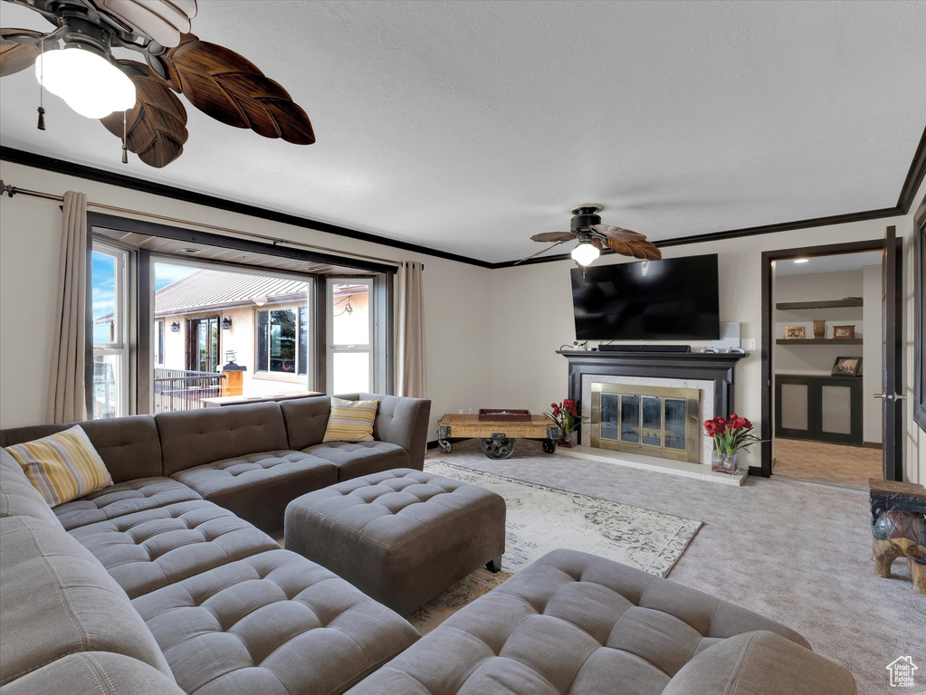 Carpeted living room with plenty of natural light, crown molding, and ceiling fan