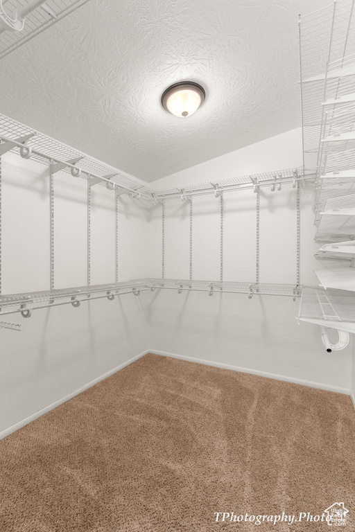 Spacious closet featuring carpet flooring