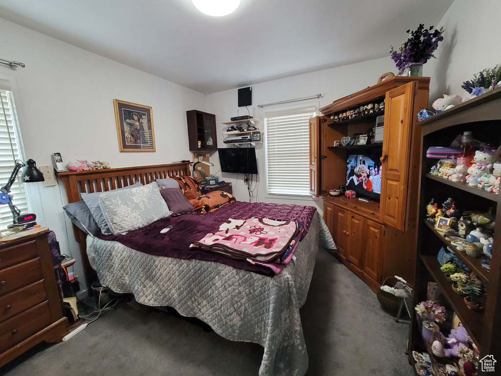 Bedroom featuring multiple windows and dark carpet