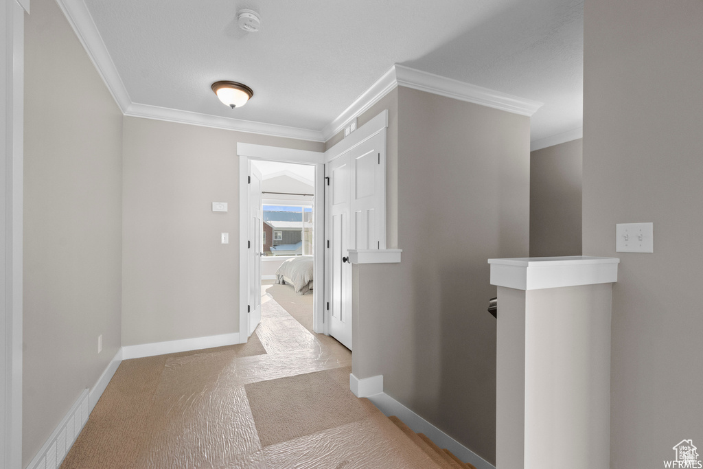 Hallway featuring ornamental molding and light colored carpet