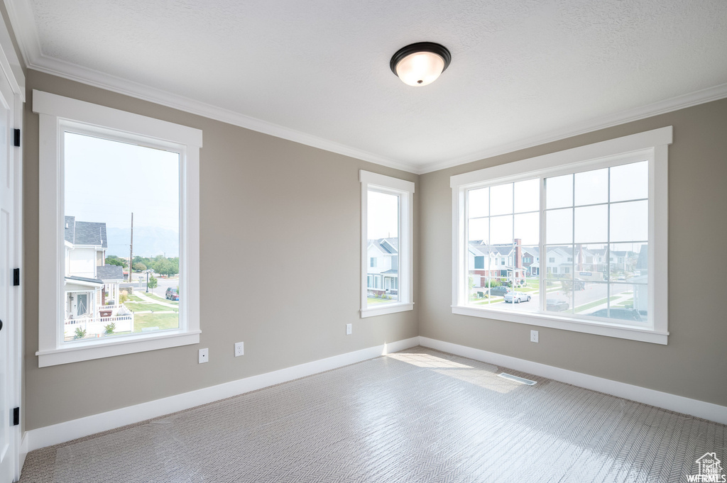Unfurnished room featuring light colored carpet and crown molding