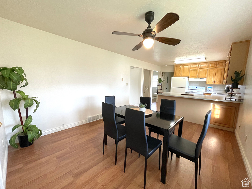 Dining space with ceiling fan, light hardwood / wood-style flooring, and sink