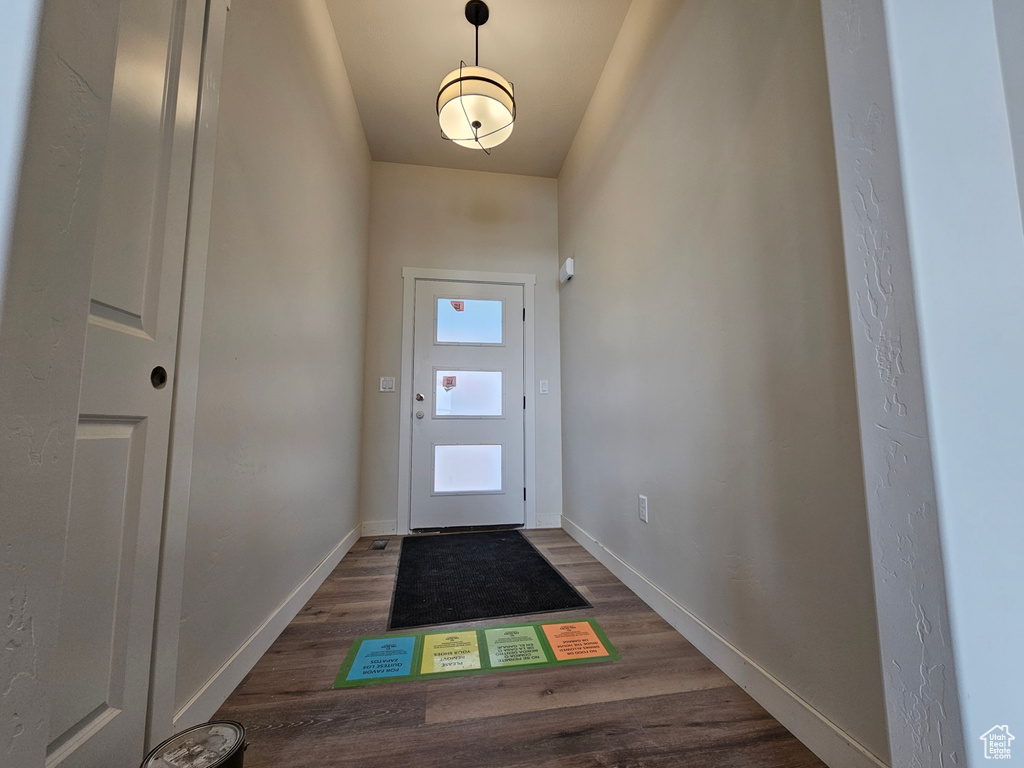 Entryway featuring dark hardwood / wood-style flooring