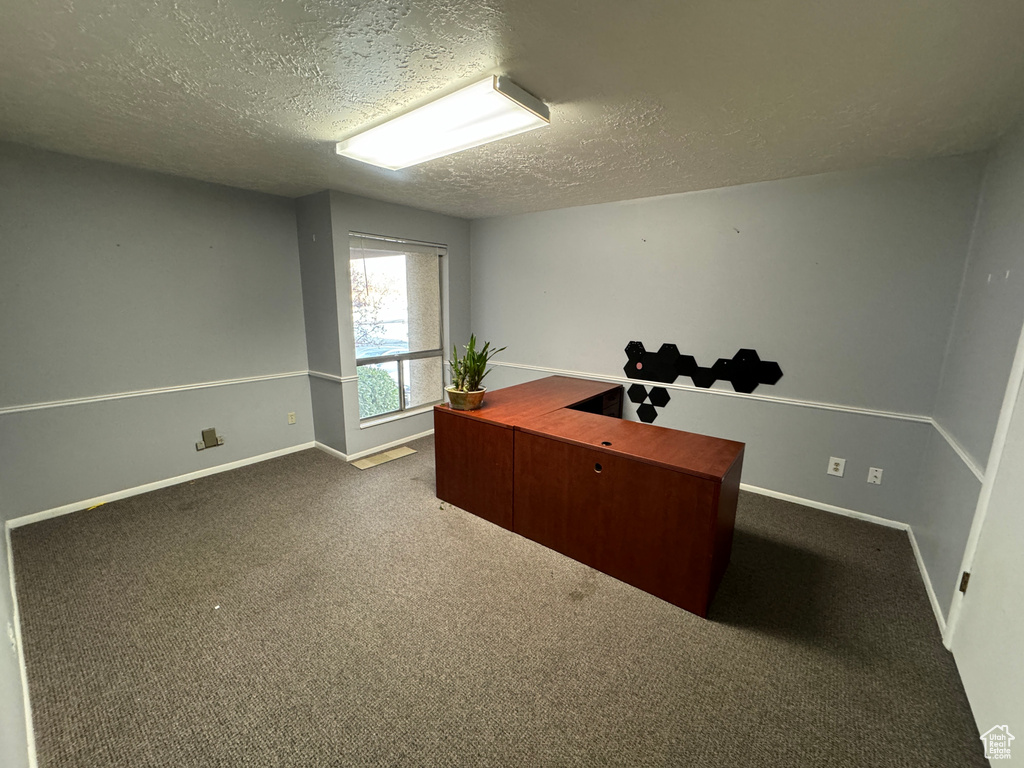 Office space with a textured ceiling and carpet