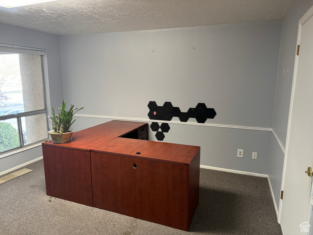 Office area with carpet and a textured ceiling