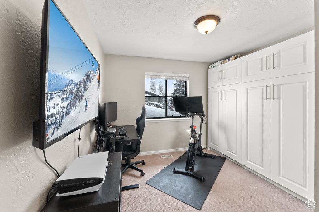 Exercise room featuring light carpet