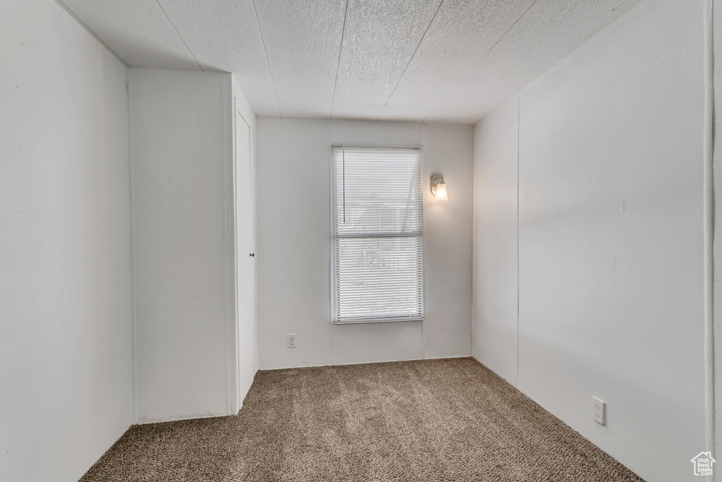 Unfurnished room with a textured ceiling and carpet