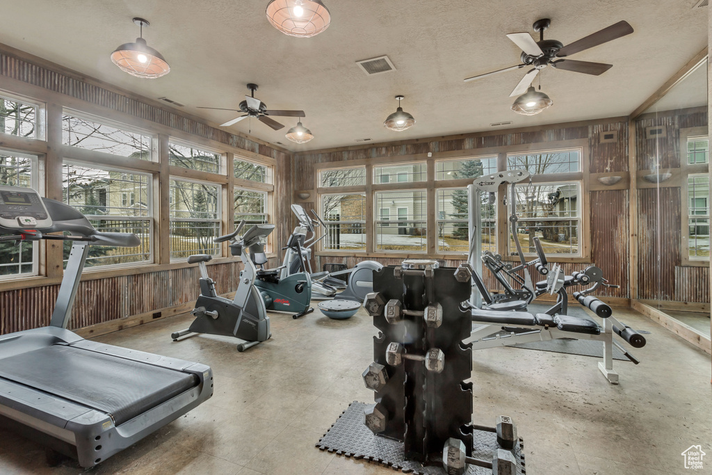 Workout area featuring wooden walls, a healthy amount of sunlight, and ceiling fan