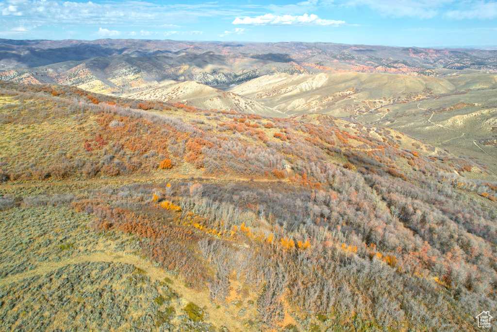 Bird's eye view featuring a mountain view