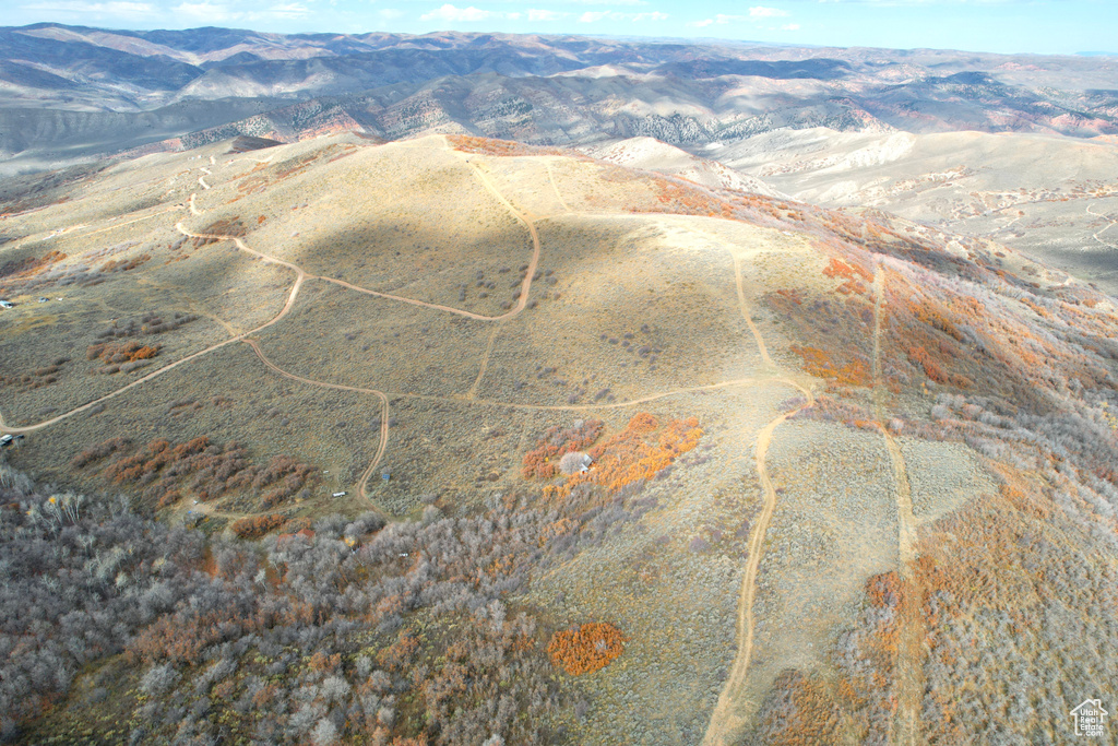 Drone / aerial view featuring a mountain view