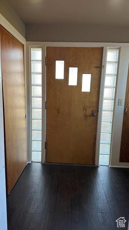 Entrance foyer with dark wood-type flooring