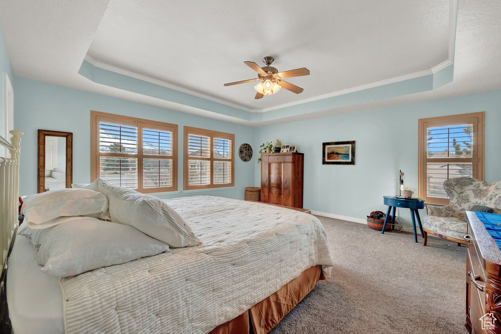Carpeted bedroom featuring a tray ceiling, ceiling fan, and crown molding