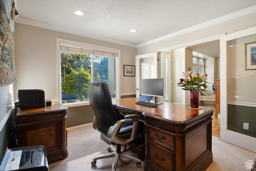 Office area featuring light carpet and ornamental molding