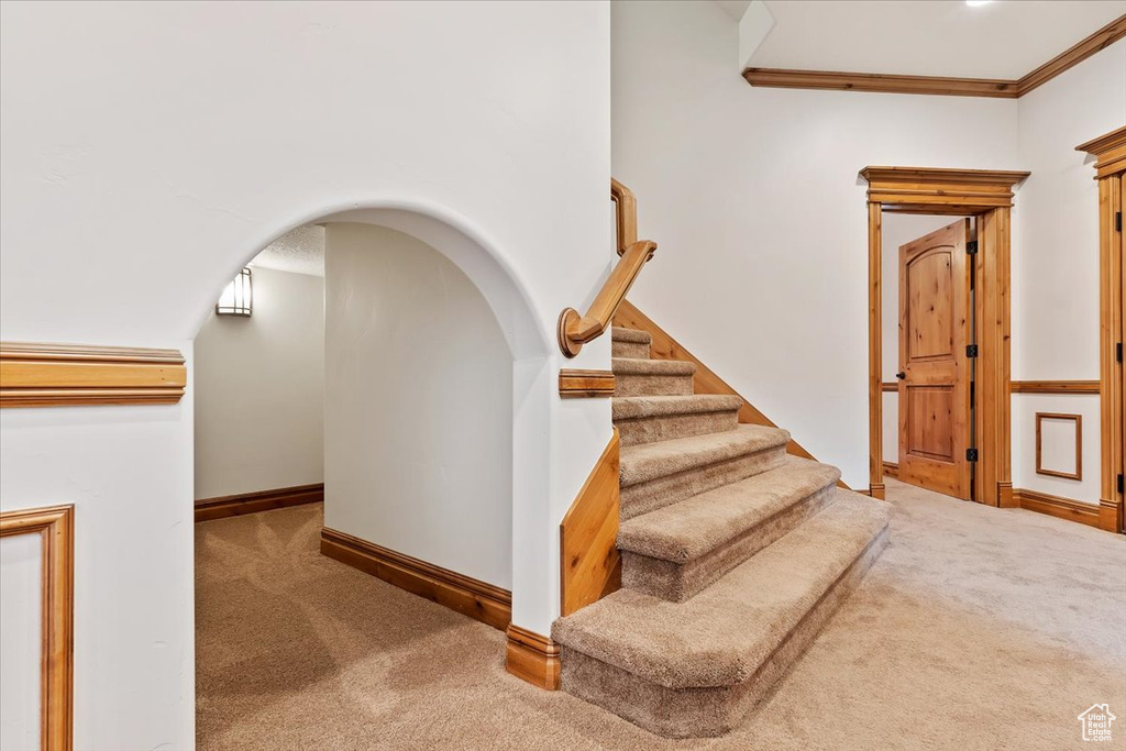 Stairs with dark carpet and crown molding