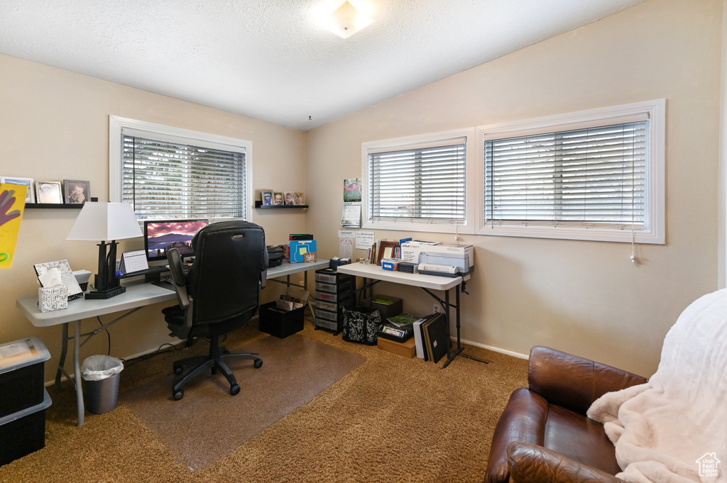 Carpeted office space with plenty of natural light and lofted ceiling