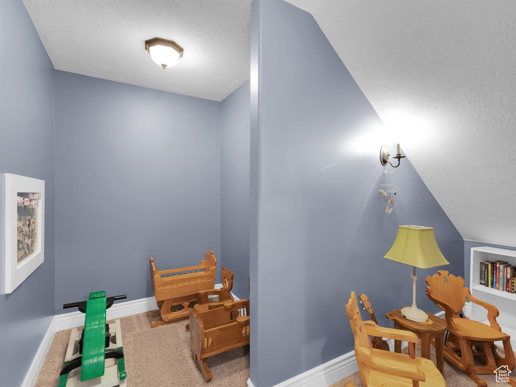 Rec room with lofted ceiling, carpet, and a textured ceiling