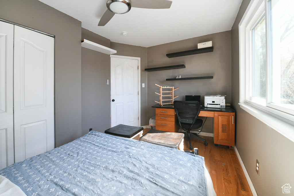 Bedroom with dark hardwood / wood-style flooring, ceiling fan, and a closet