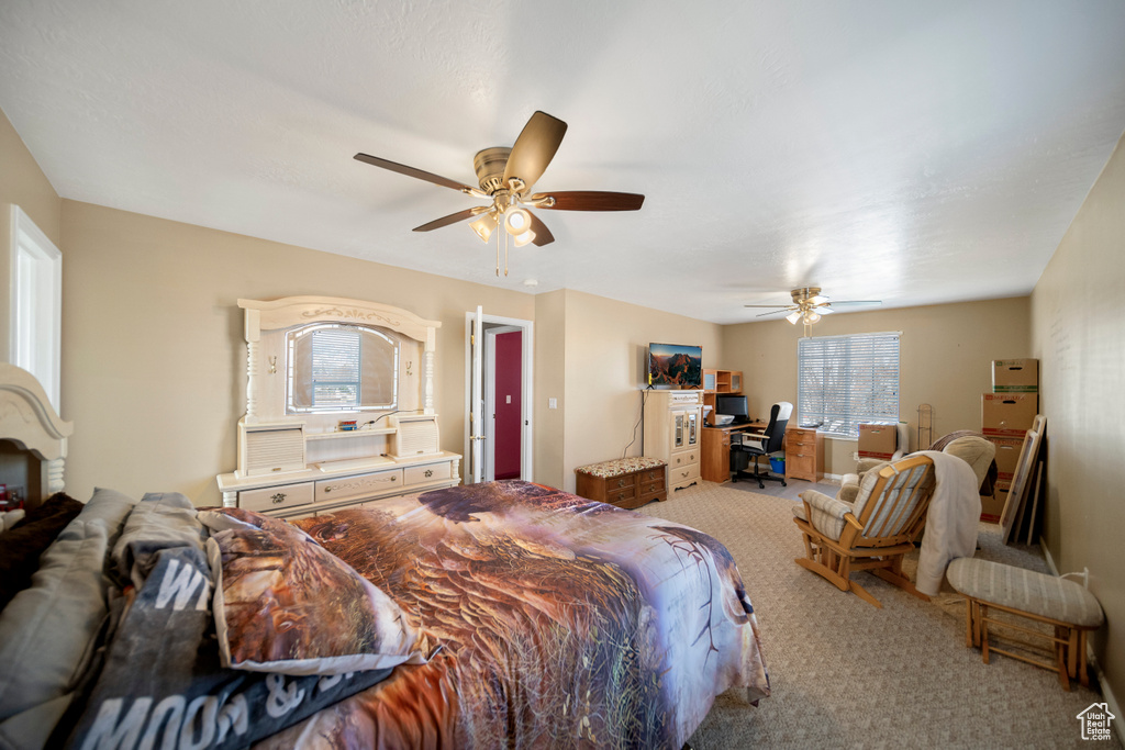 Carpeted bedroom with multiple windows and ceiling fan