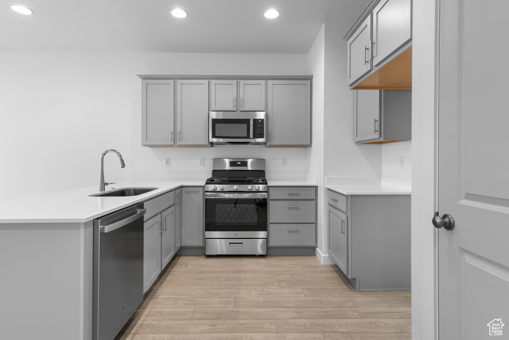 Kitchen with gray cabinetry, appliances with stainless steel finishes, light hardwood / wood-style flooring, and sink