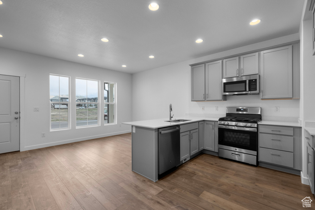 Kitchen featuring hardwood / wood-style flooring, kitchen peninsula, gray cabinetry, and stainless steel appliances