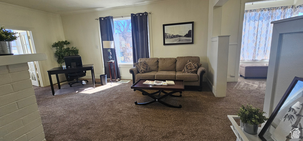 Living room featuring dark colored carpet, crown molding, and a healthy amount of sunlight