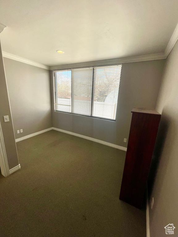 Spare room with ornamental molding and dark colored carpet