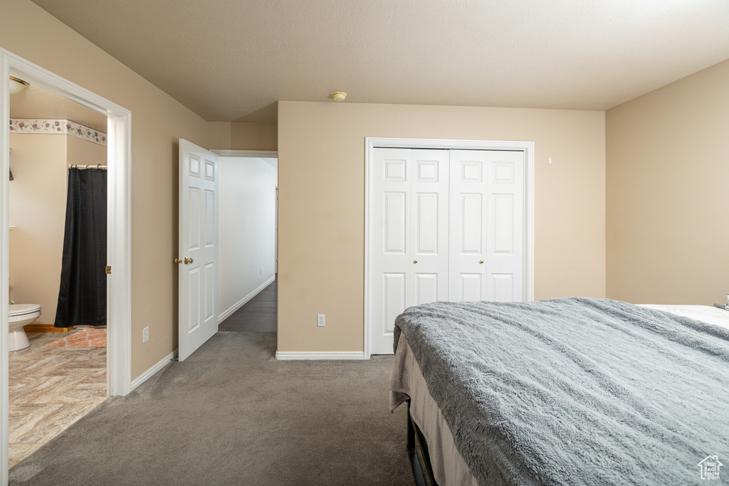 Carpeted bedroom with ensuite bath and a closet