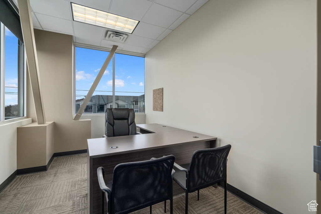 Carpeted office space with a wealth of natural light and a drop ceiling