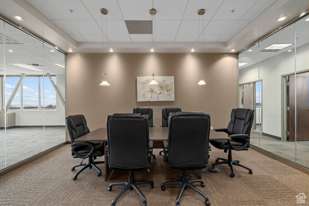 Carpeted office featuring a drop ceiling and a tray ceiling