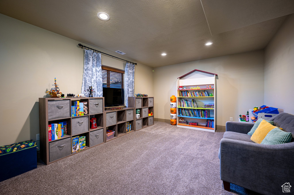 Game room featuring a textured ceiling and carpet flooring