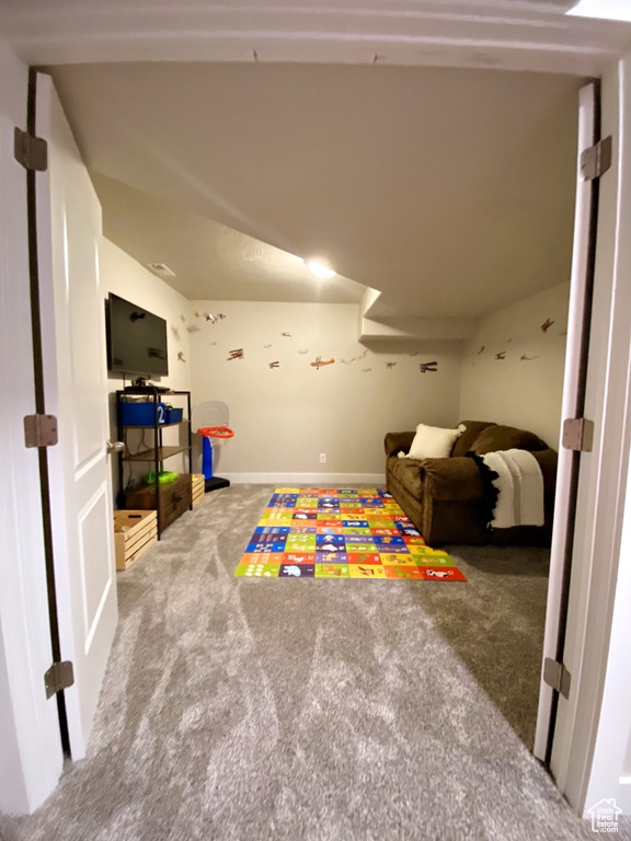 Rec room featuring carpet floors