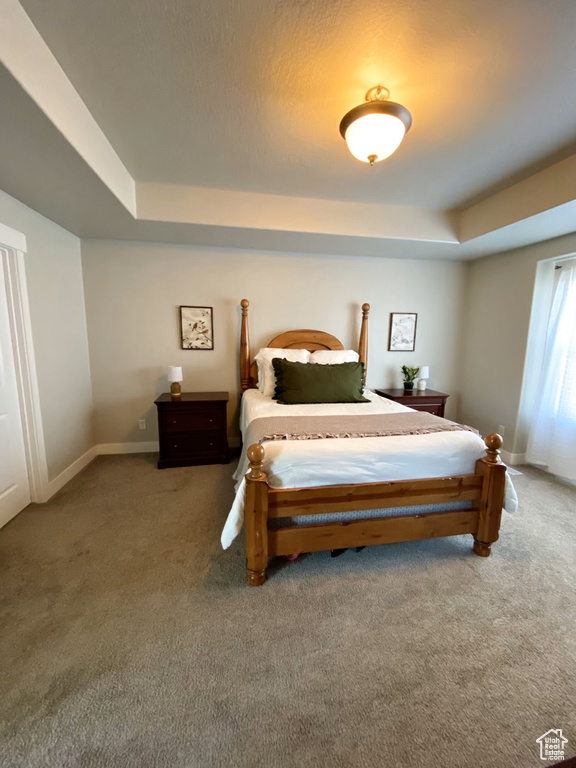 Carpeted bedroom featuring a raised ceiling