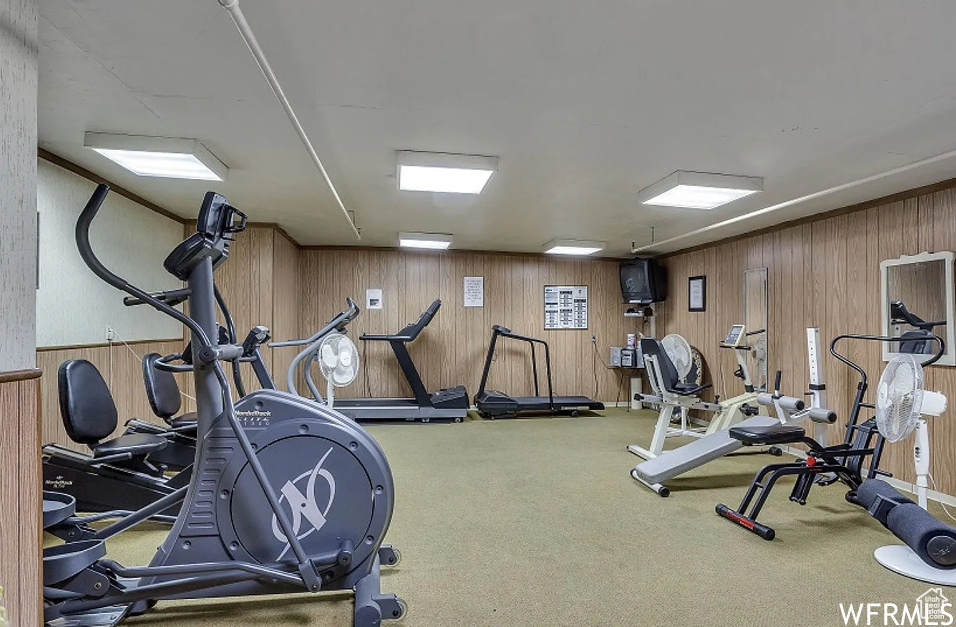 Workout area featuring carpet floors and wood walls