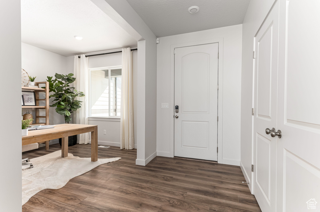 Entryway with dark hardwood / wood-style flooring