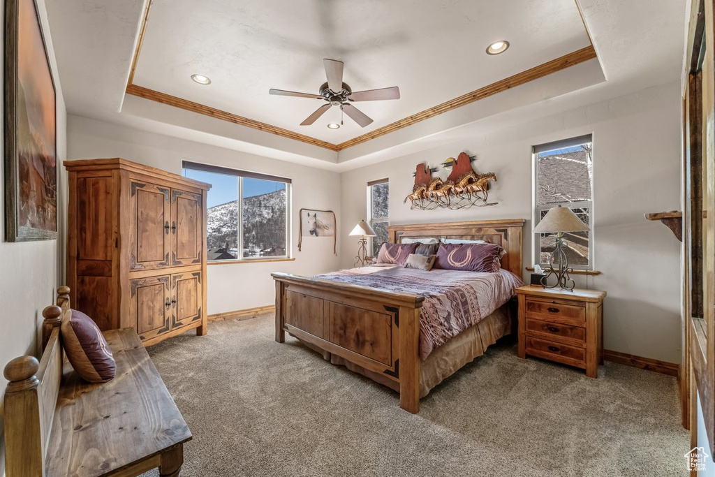 Carpeted bedroom with a tray ceiling, multiple windows, and ceiling fan