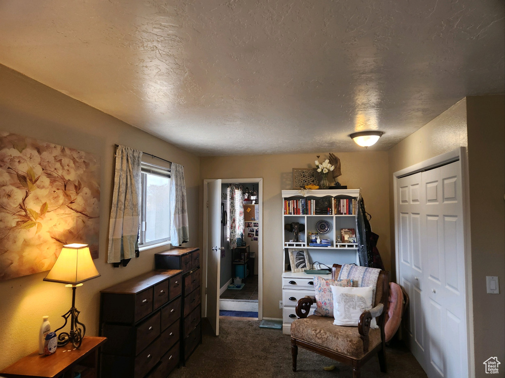 Living area featuring dark colored carpet