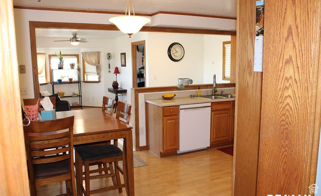 Kitchen featuring ceiling fan, sink, dishwasher, light hardwood / wood-style floors, and pendant lighting